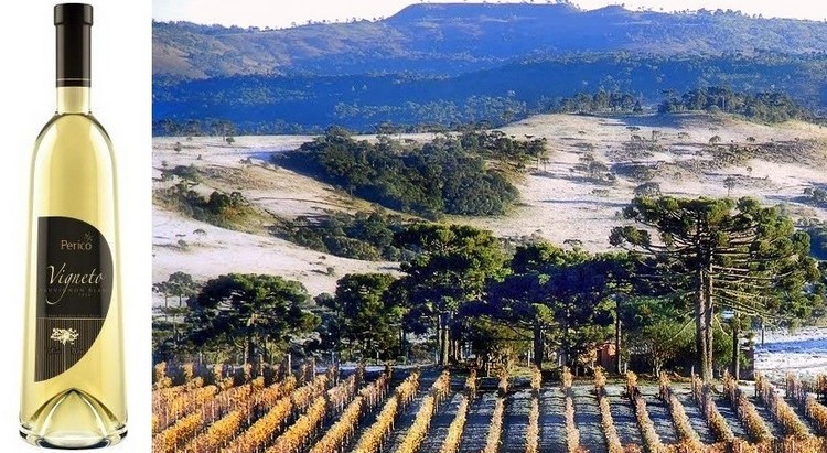 Vinicola Perico