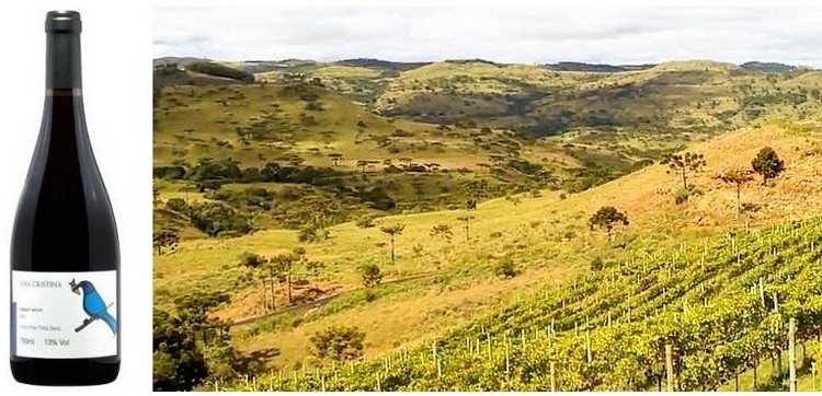 Vinicola Villaggio Bassetti 