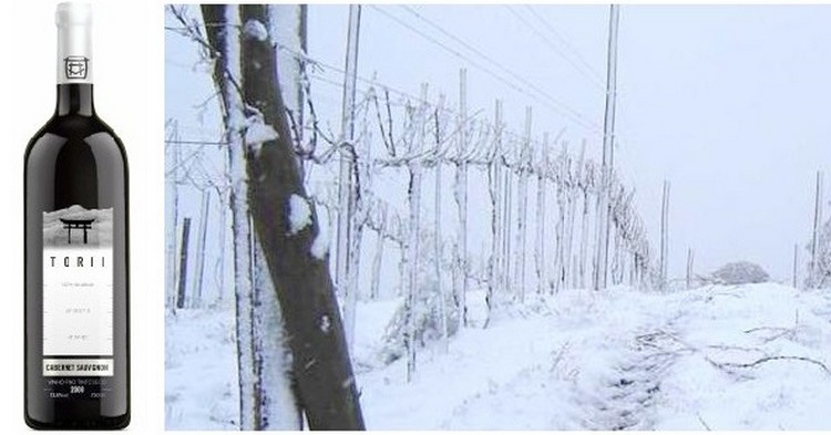 Vinicola Hiragami