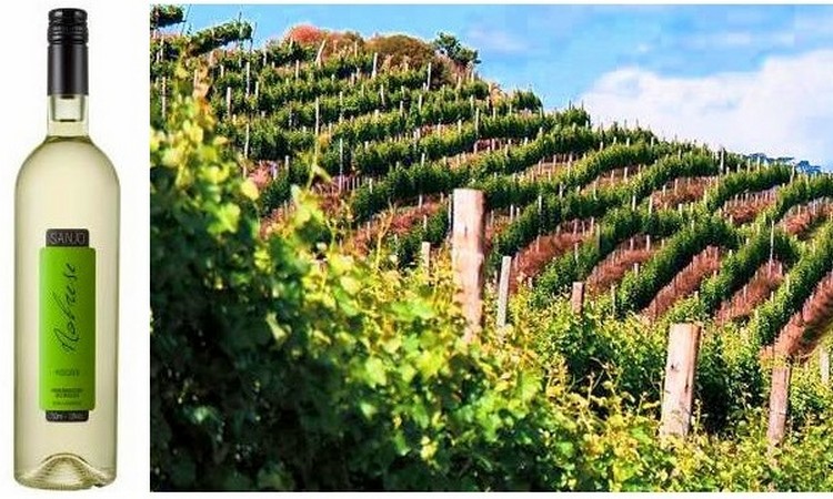 Vinicola Sanjo Gil