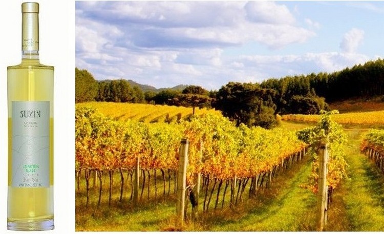 Vinicola Suzin 