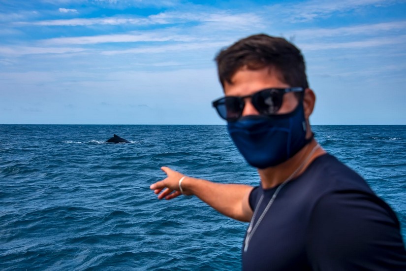 André Martinelli fala sobre sustentabilidade: Sinto que esse é o meu propósito