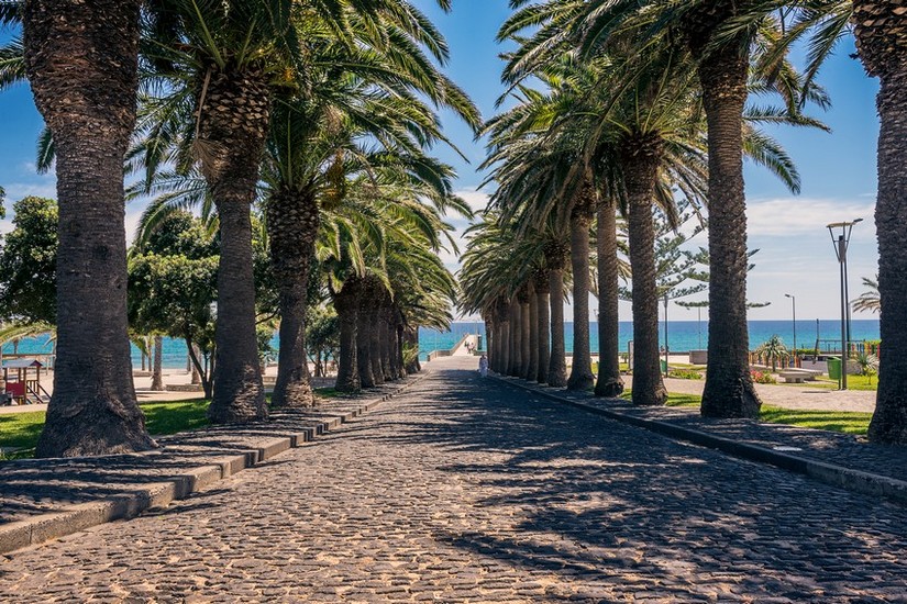 Porto Santo Jardim Municipal